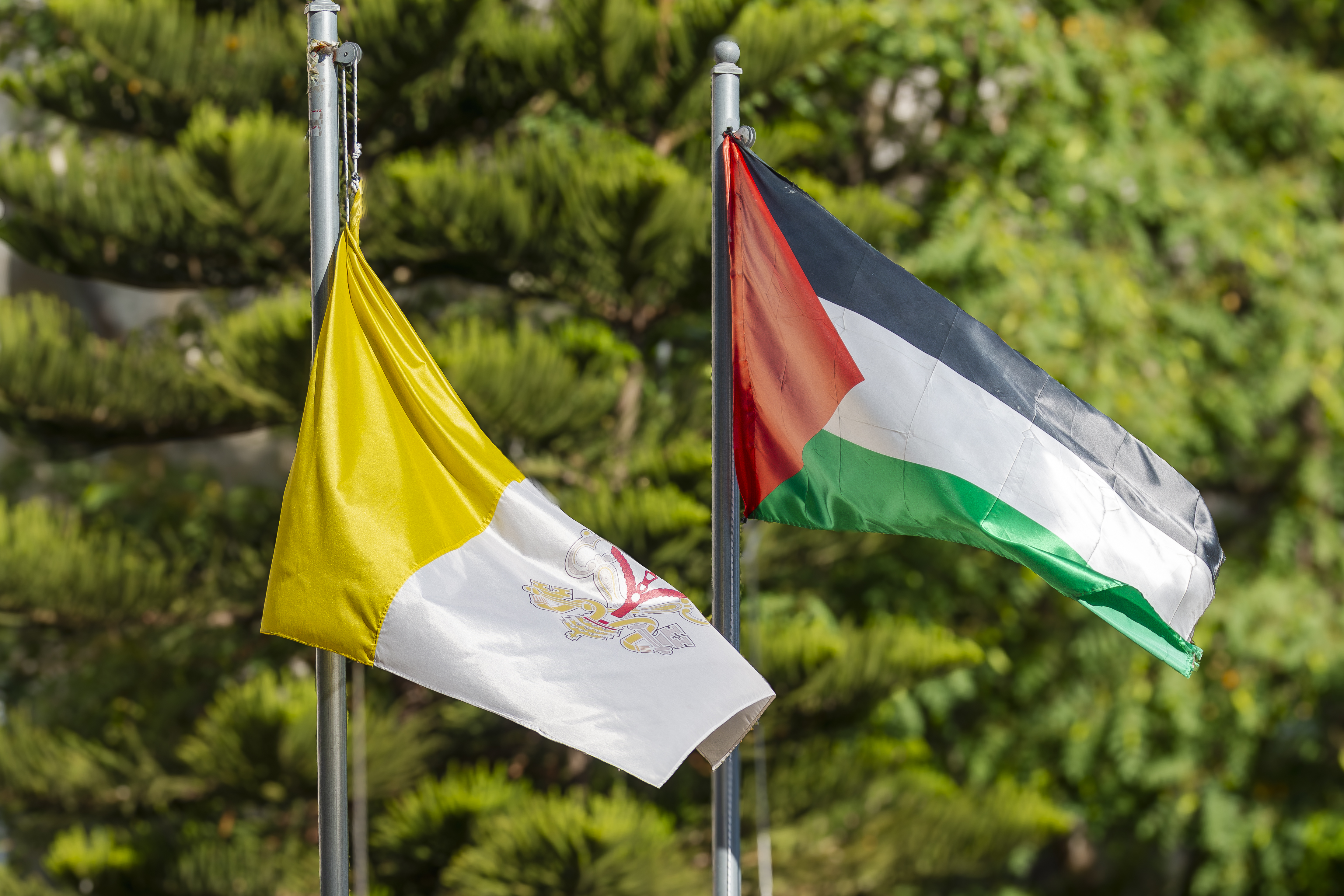 الفاتيكان فلسطين