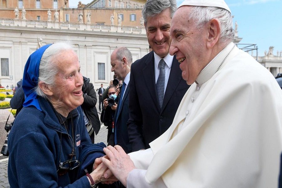 البابا ومسن 