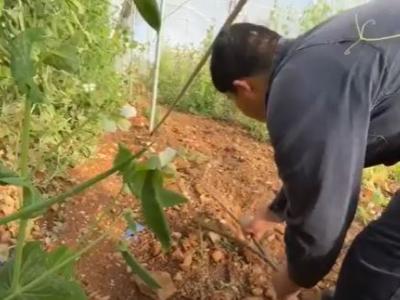 الإعاقة لا تحد من الإبداع 