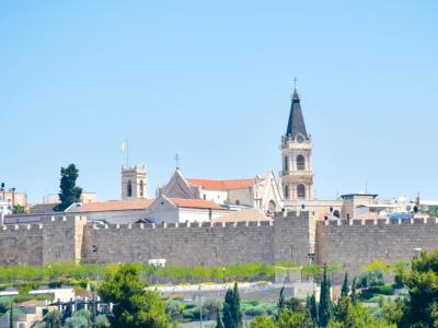 البطريركية اللاتينية