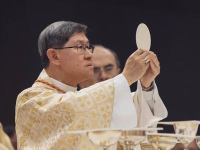 الكاردينال