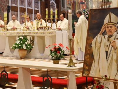 البطريركية اللاتينية