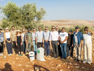 Le Consul Général de France et l’Ambassadeur de Pologne participent à la récolte des olives à Taybeh en soutien aux agriculteurs locaux