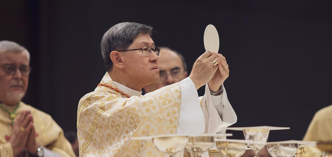 الكاردينال