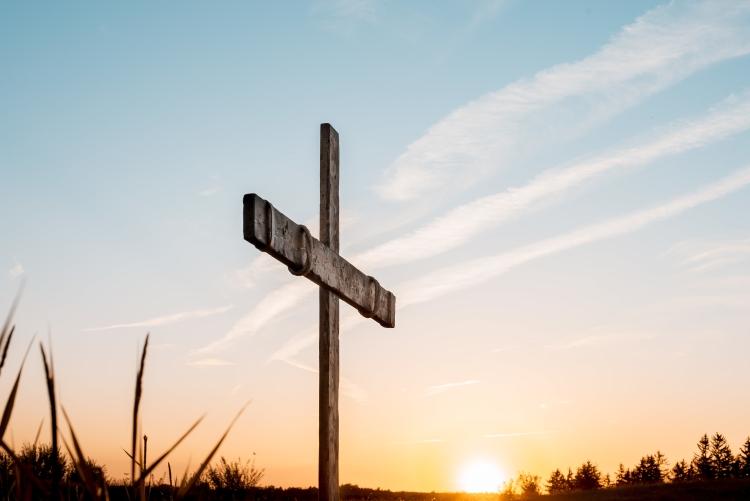 البطريركية اللاتينية