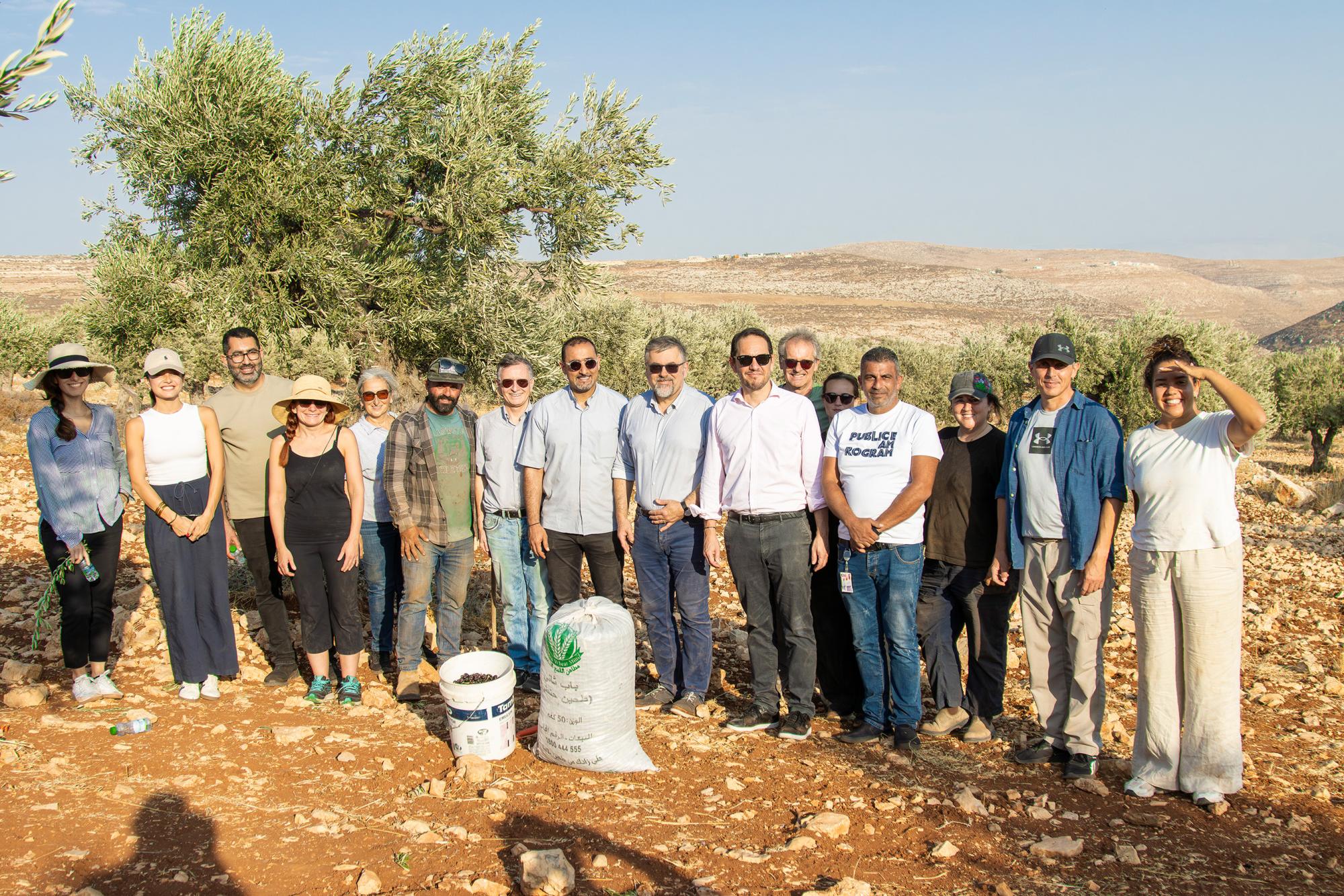 Le Consul Général de France et l’Ambassadeur de Pologne participent à la récolte des olives à Taybeh en soutien aux agriculteurs locaux